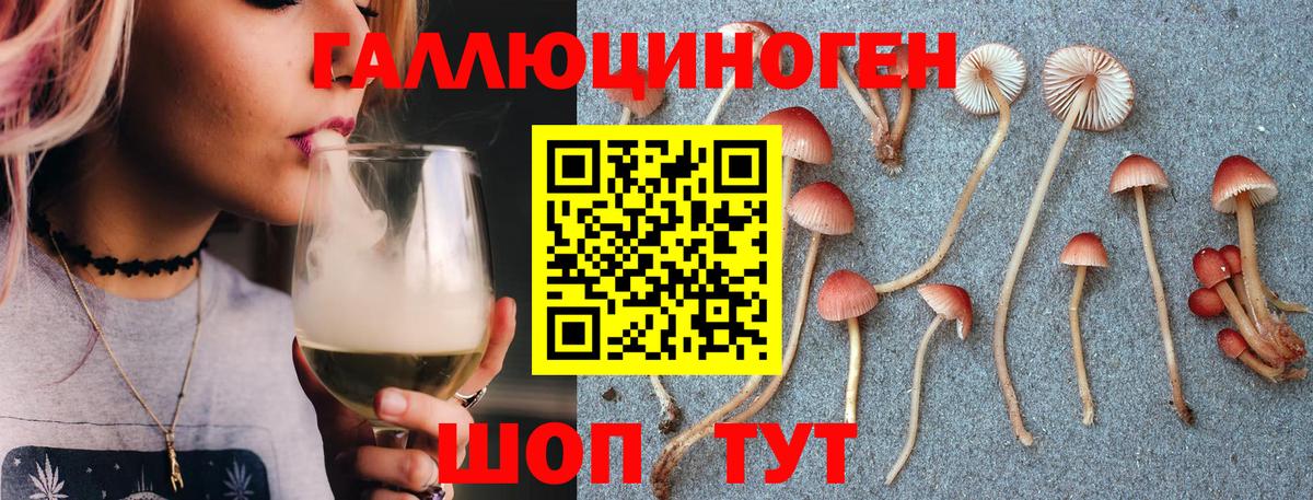 Галлюциногенные грибы прущие грибы  Вход с VPN  Кингисепп 